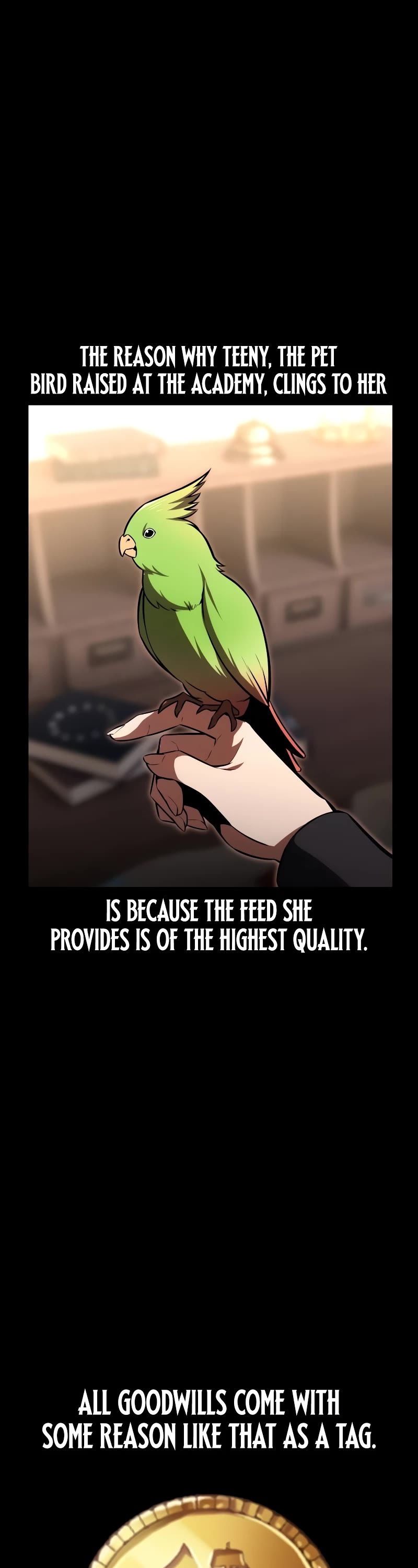 The Extra’s Academy Survival Guide Chapter 19 page 37 - Chapter 19