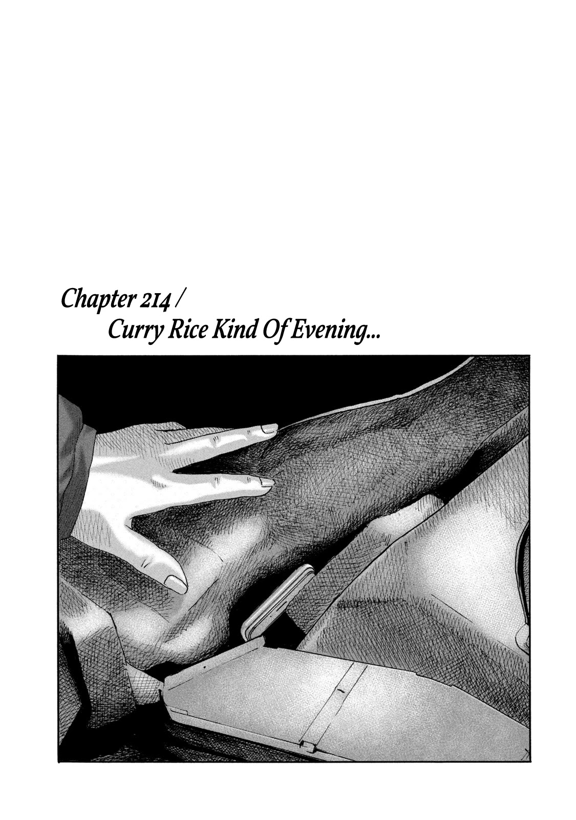 The Fable Chapter 214 page 1 - Chapter 214: Curry Rice Kind Of Evening...