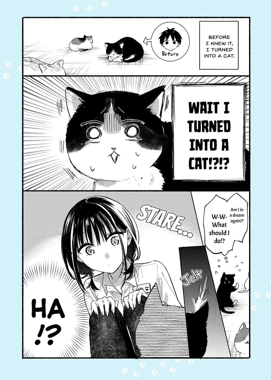The Feline Neighbor and the Unversed-in-Love Chapter 12.4 page 14 - Chapter 12.4: Twitter Extras 4 - 6