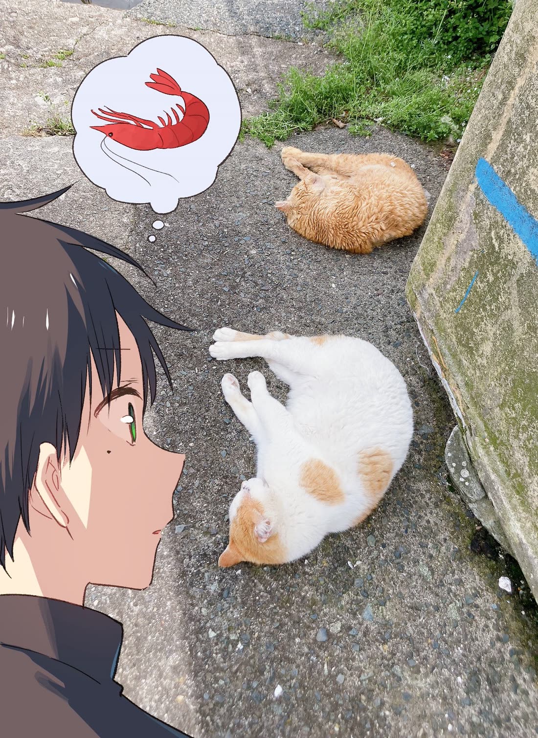 The Feline Neighbor and the Unversed-in-Love Chapter 14.1 page 10 - Chapter 14.1: Twitter Extra 8