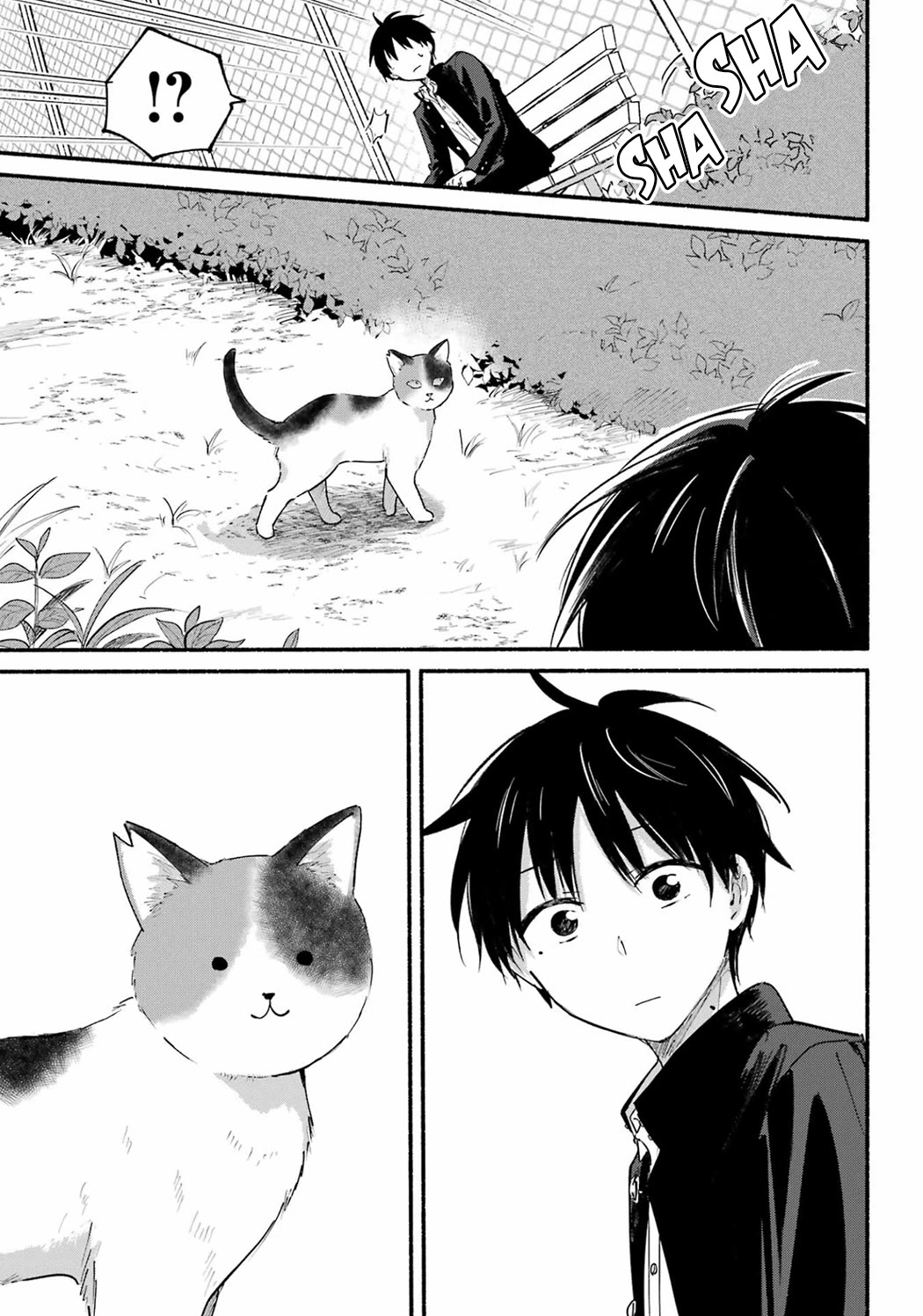 The Feline Neighbor and the Unversed-in-Love Chapter 14 page 17 - Chapter 14