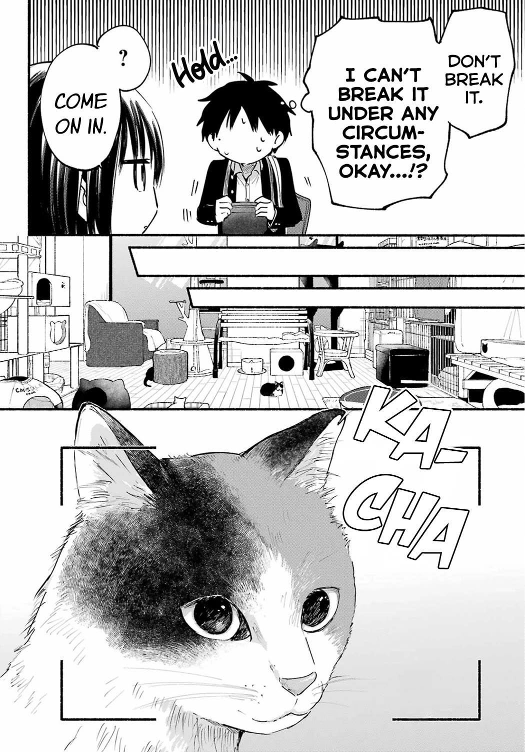 The Feline Neighbor and the Unversed-in-Love Chapter 15 page 10 - Chapter 15