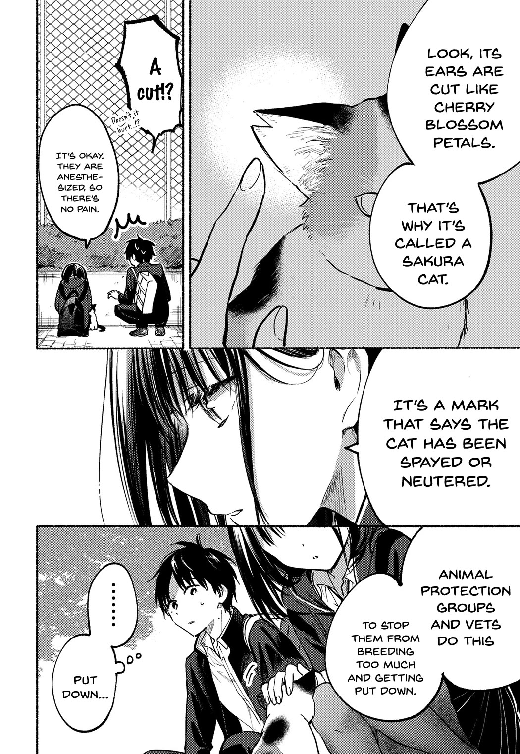 The Feline Neighbor and the Unversed-in-Love Chapter 2 page 9 - Chapter 2