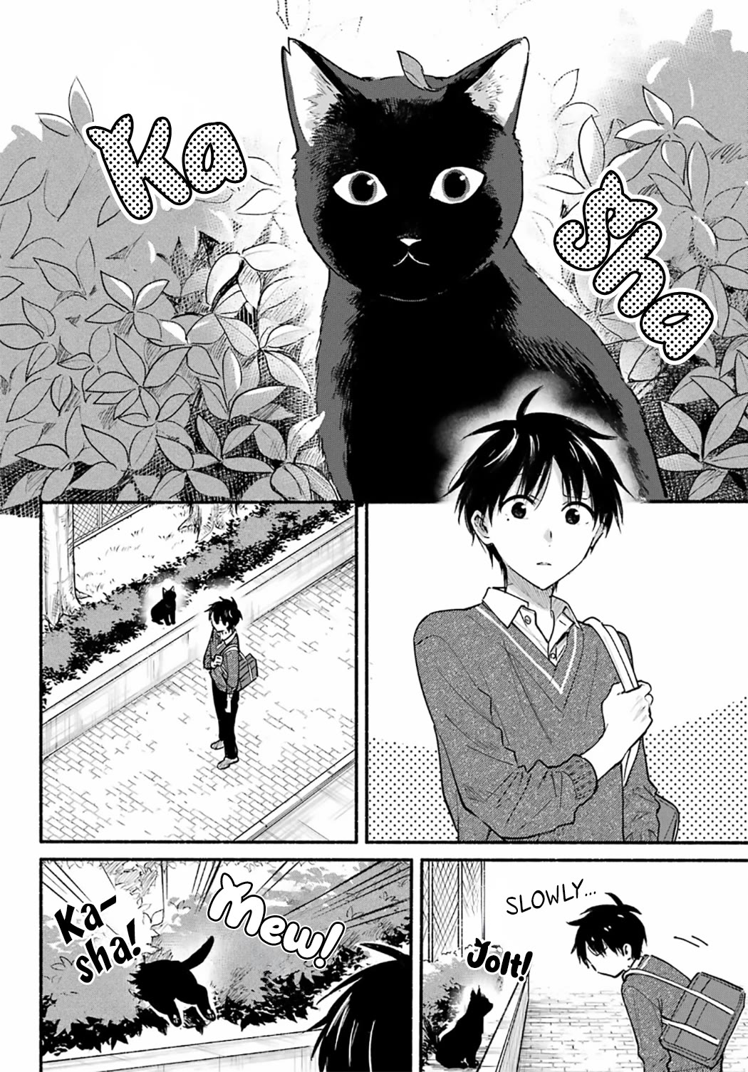 The Feline Neighbor and the Unversed-in-Love Chapter 27 page 2 - Chapter 27