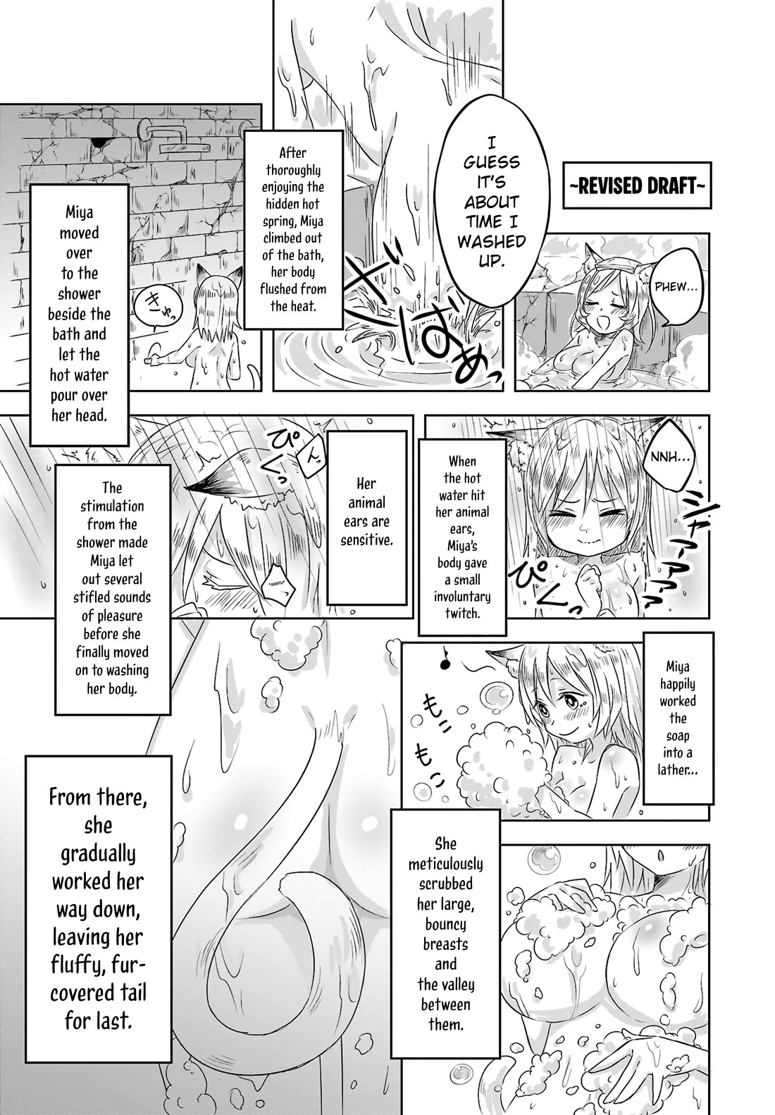 The Furry-Eared Lolita Hero Has Difficulty in Obscene Revision Chapter 2 page 18 - Chapter 2: Revision 2: The POV Problem