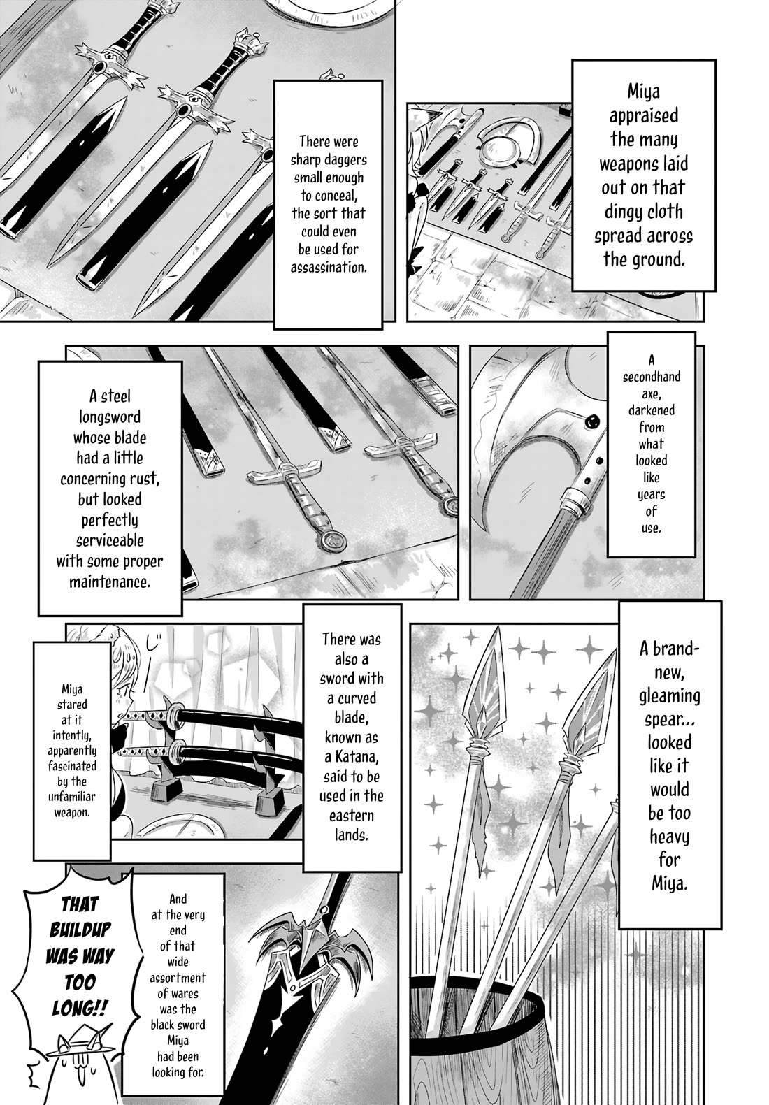 The Furry-Eared Lolita Hero Has Difficulty in Obscene Revision Chapter 3 page 10 - Chapter 3: Revision 3: The Overdescription Problem