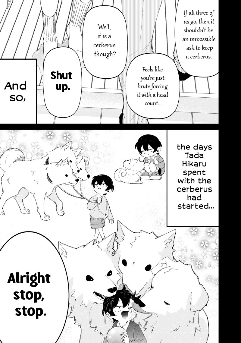 The Gals Who Always Say Insane Things: My Daily Life at a Private Paranormal High School Chapter 49 page 15 - Chapter 49: Keeping a cerberus kinda deal