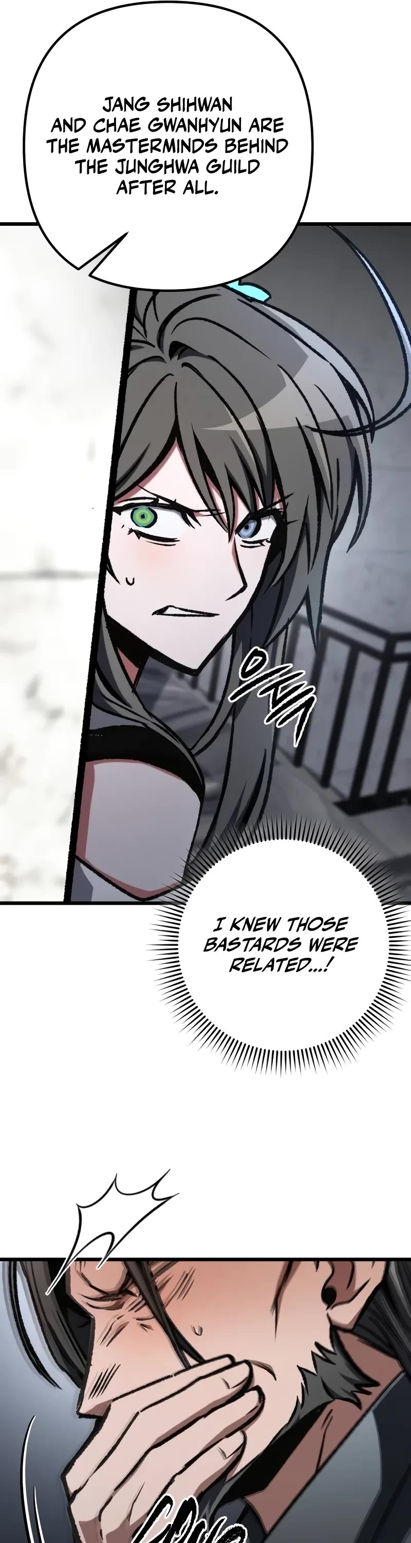 The Genius Assassin Who Takes It All Chapter 56 page 17 - Chapter 56