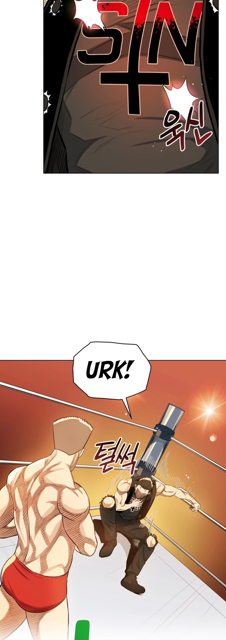The God of Pro Wrestling Chapter 17 page 16 - Chapter 17
