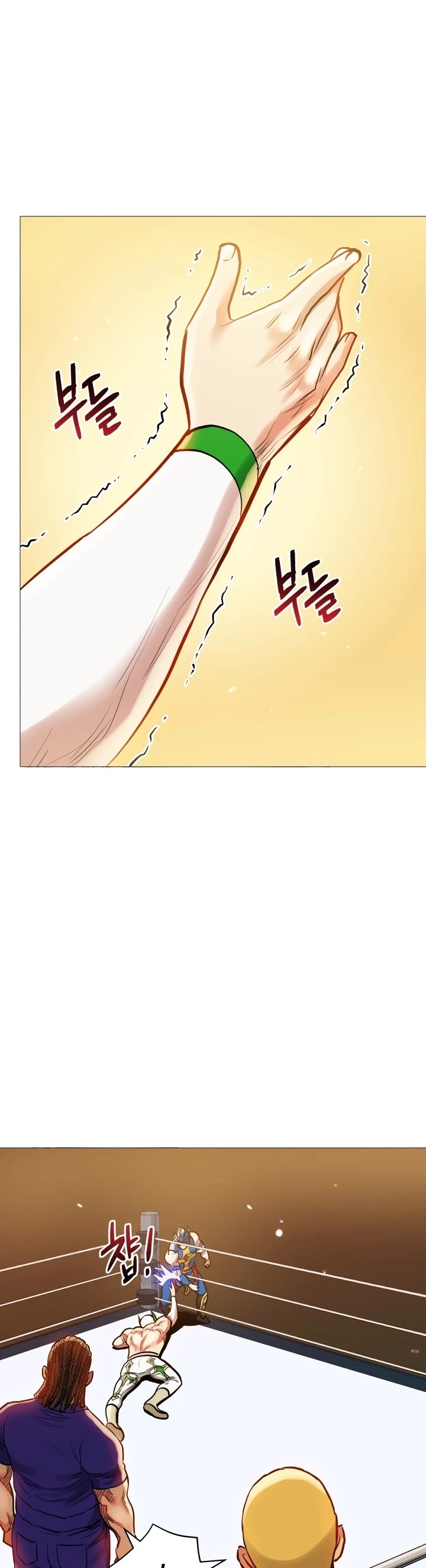 The God of Pro Wrestling Chapter 32 page 29 - Chapter 32