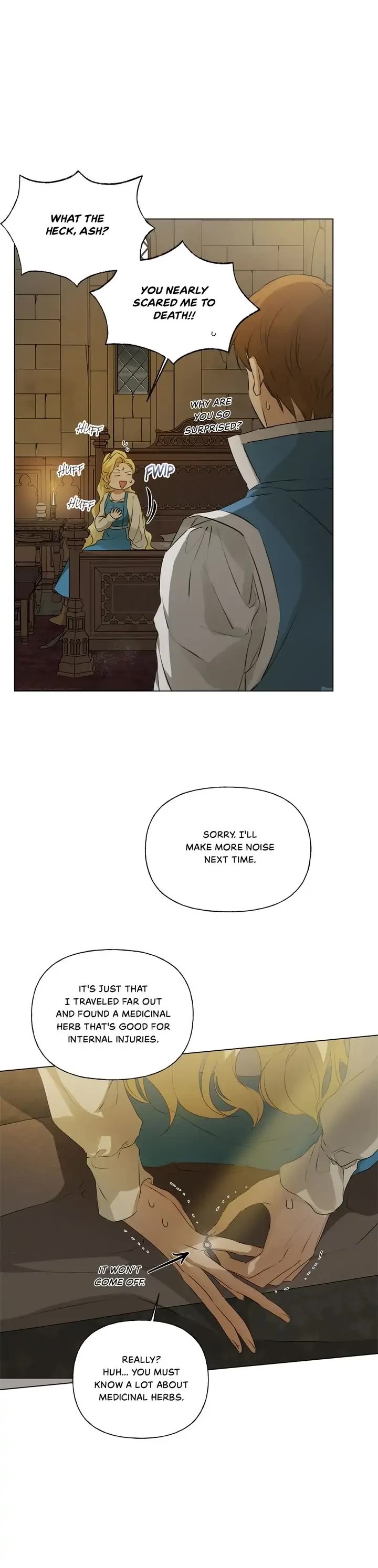 The Golden Haired Elementalist Chapter 100 page 11 - Chapter 100
