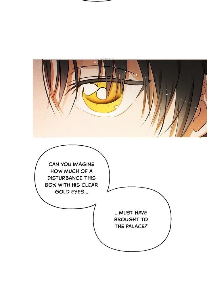 The Golden Haired Elementalist Chapter 36 page 30 - Chapter 36
