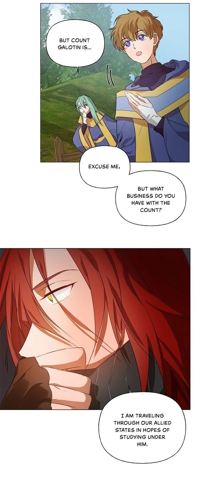 The Golden Haired Elementalist Chapter 43 page 21 - Chapter 43