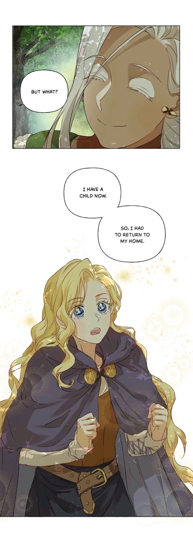 The Golden Haired Elementalist Chapter 53 page 39 - Chapter 53