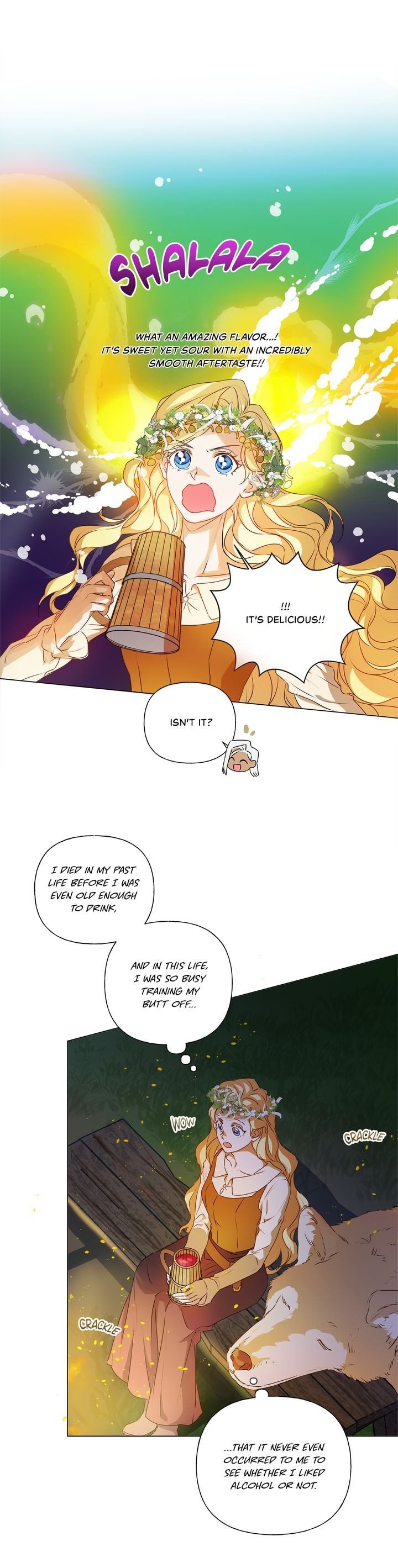 The Golden Haired Elementalist Chapter 55 page 28 - Chapter 55