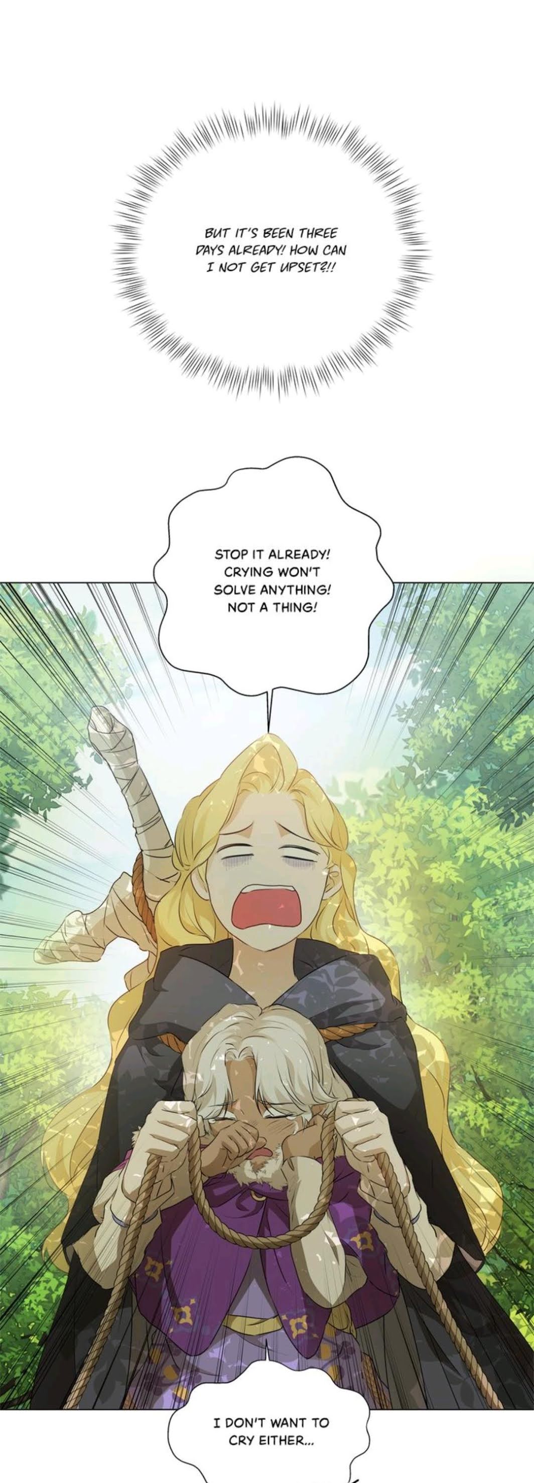 The Golden Haired Elementalist Chapter 60 page 40 - Chapter 60
