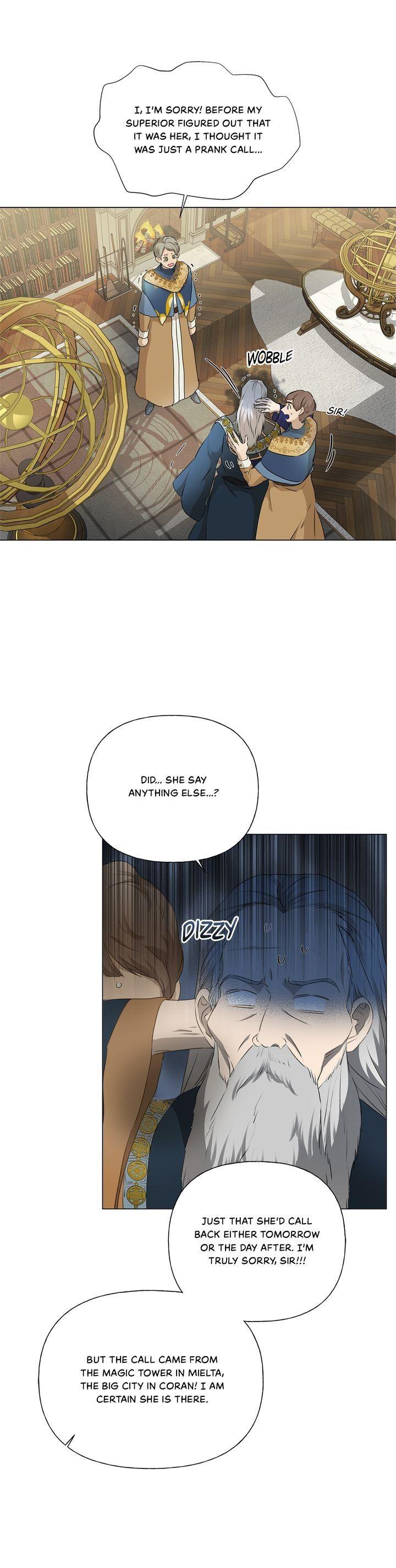 The Golden Haired Elementalist Chapter 63 page 41 - Chapter 63