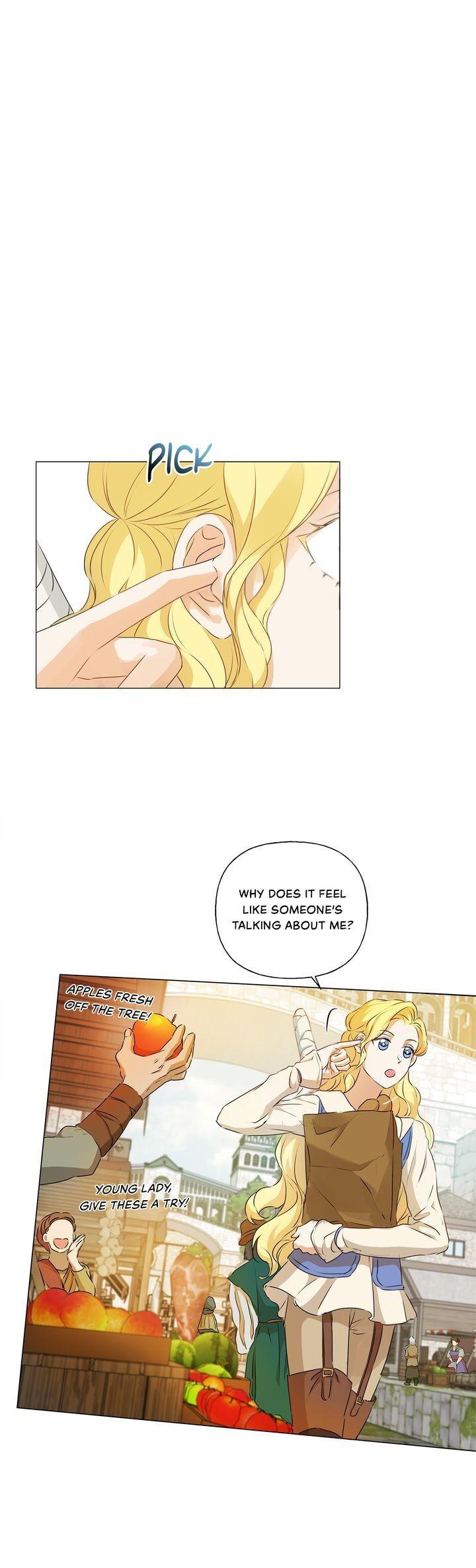 The Golden Haired Elementalist Chapter 63 page 45 - Chapter 63