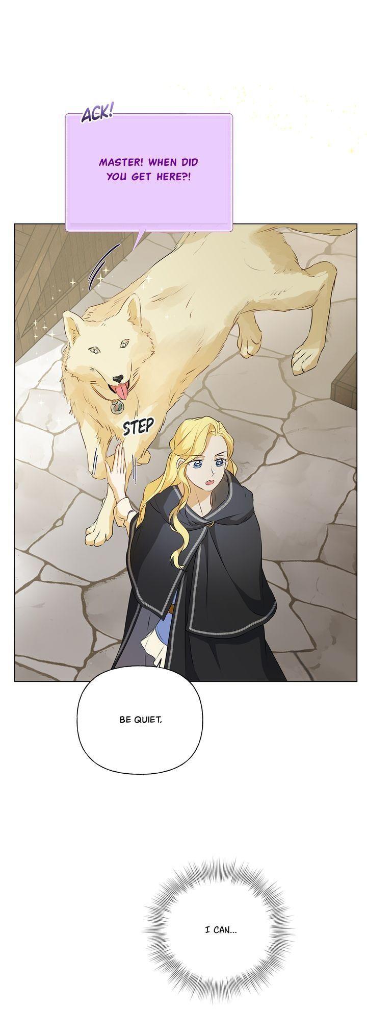 The Golden Haired Elementalist Chapter 66 page 44 - Chapter 66