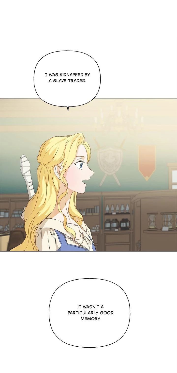 The Golden Haired Elementalist Chapter 66 page 9 - Chapter 66