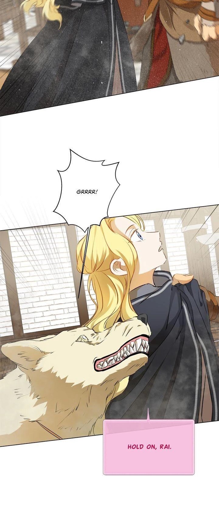 The Golden Haired Elementalist Chapter 67 page 23 - Chapter 67