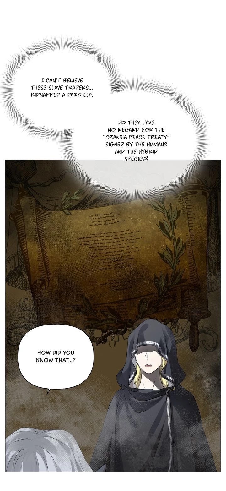 The Golden Haired Elementalist Chapter 69 page 4 - Chapter 69