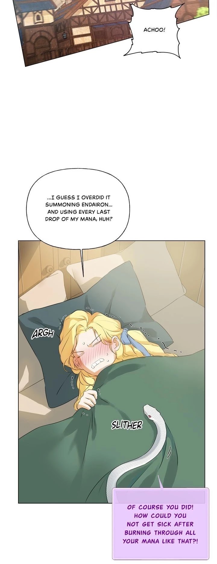 The Golden Haired Elementalist Chapter 70 page 53 - Chapter 70
