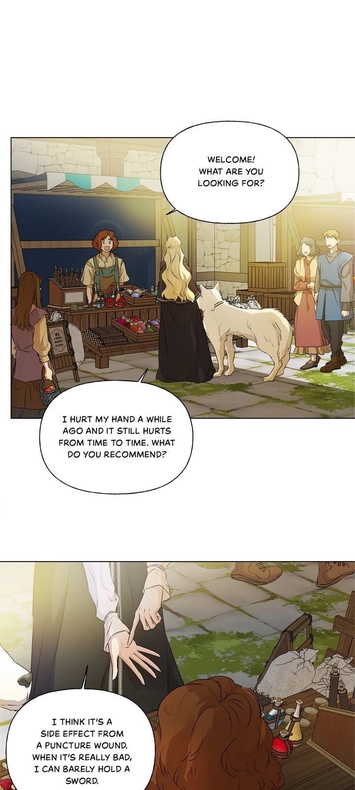 The Golden Haired Elementalist Chapter 72 page 53 - Chapter 72