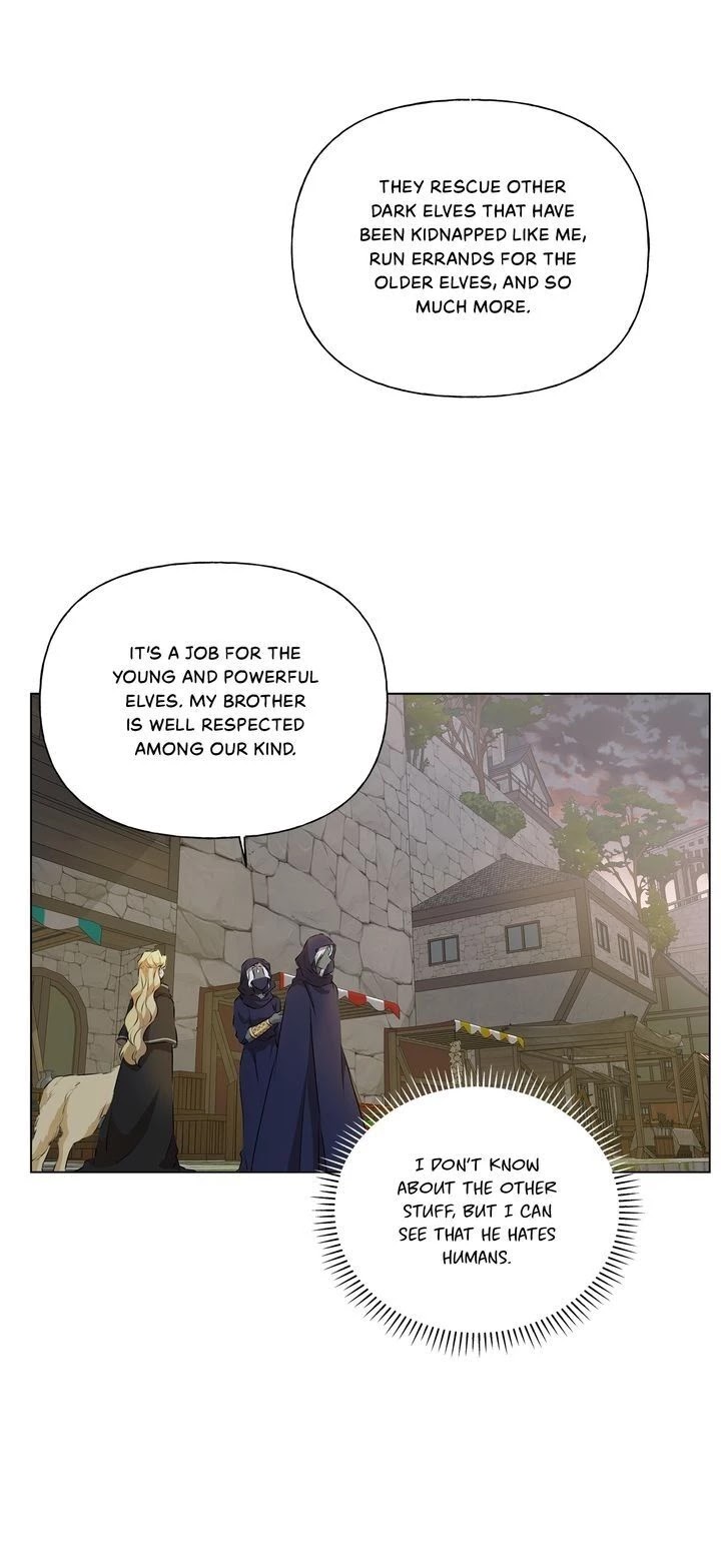 The Golden Haired Elementalist Chapter 73 page 25 - Chapter 73: (Season 2 Finale)