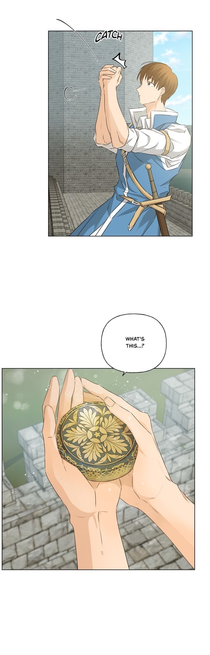 The Golden Haired Elementalist Chapter 80 page 29 - Chapter 80