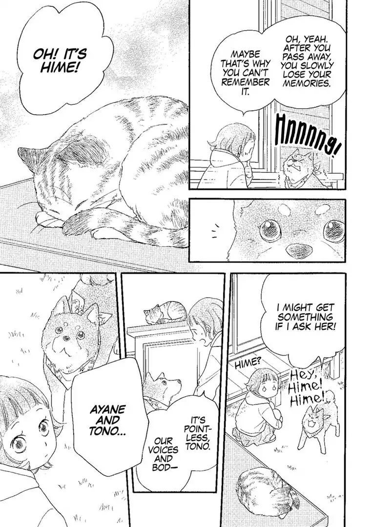 The Happiness Street in District Zero Chapter 4 page 13 - Chapter 4