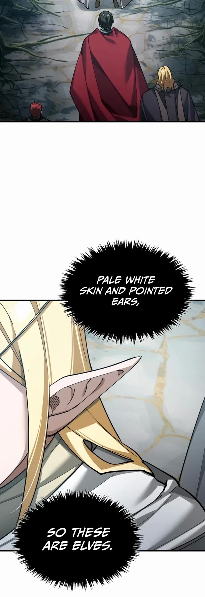 The Heavenly Demon Can't Live a Normal Life Chapter 188 page 19 - Chapter 188: Sanctum of the Elves