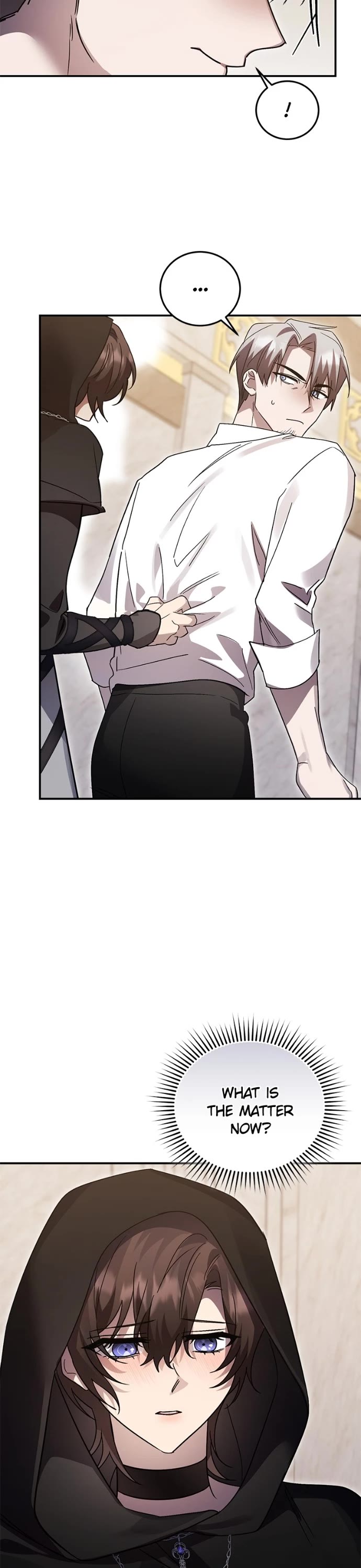 The Hero, the Demon, and the Villain Chapter 101 page 17 - Chapter 101