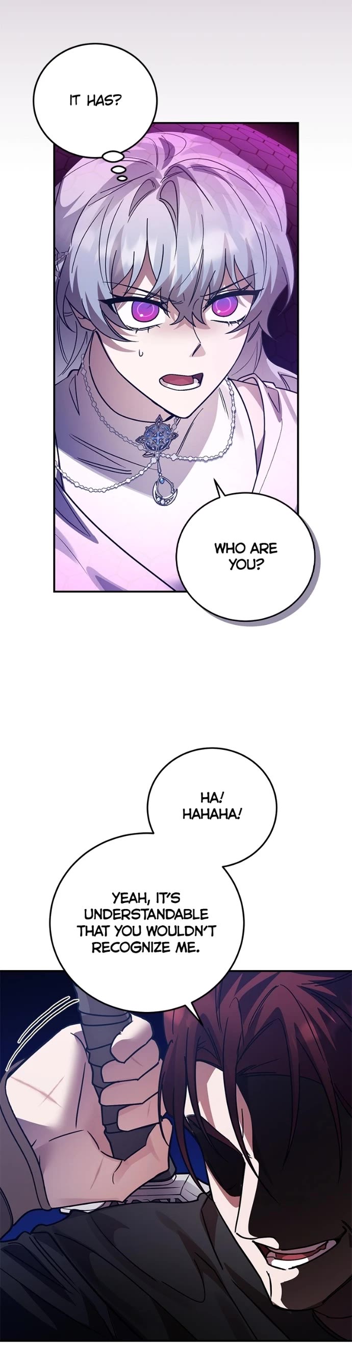 The Hero, the Demon, and the Villain Chapter 102 page 4 - Chapter 102