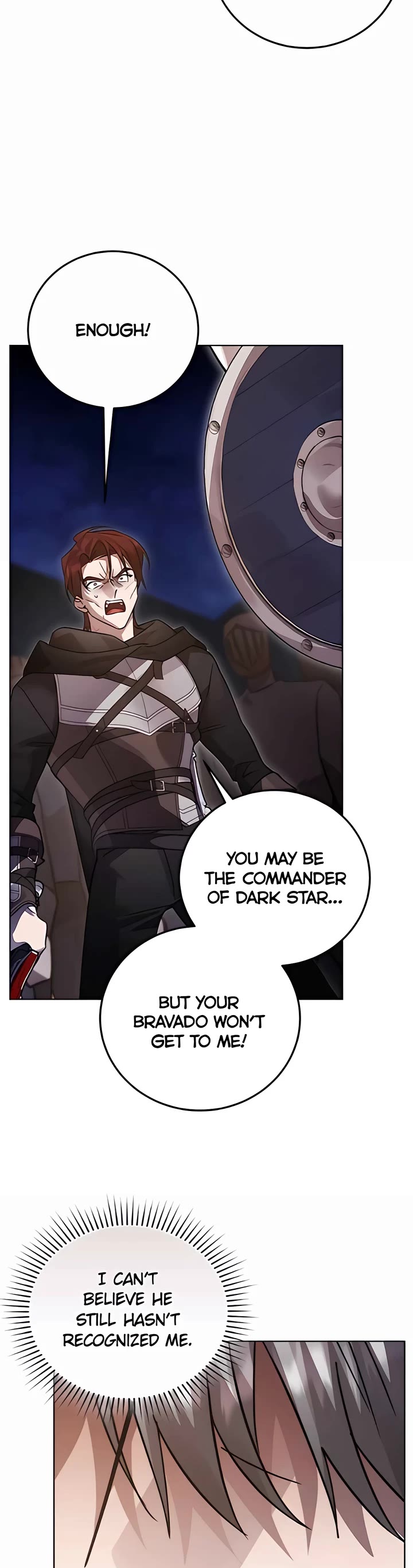 The Hero, the Demon, and the Villain Chapter 106 page 14 - Chapter 106: Revealing Truth (5)