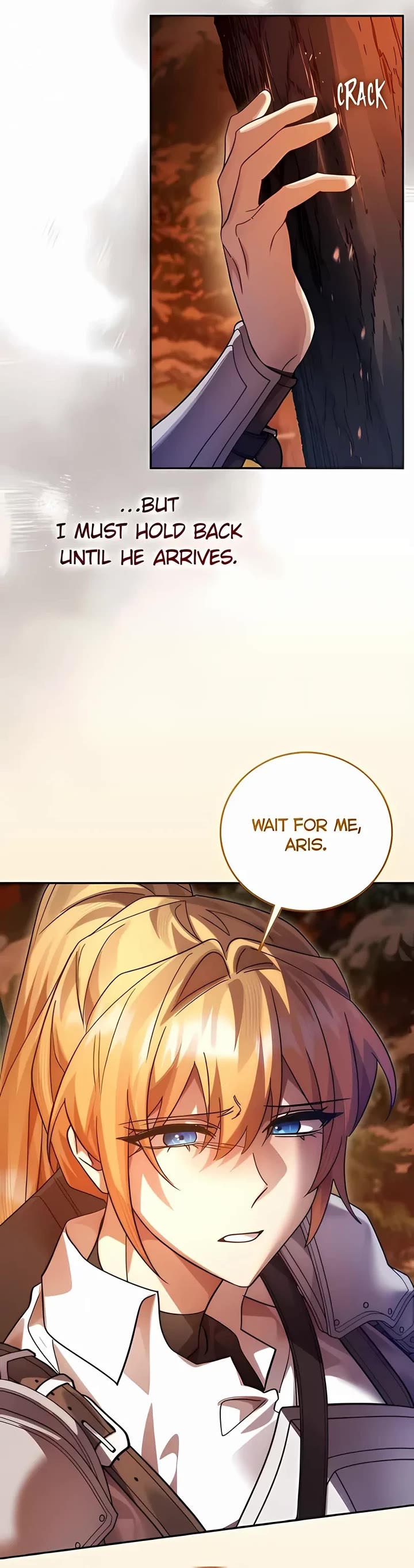The Hero, the Demon, and the Villain Chapter 110 page 50 - Chapter 110: Playing Hero