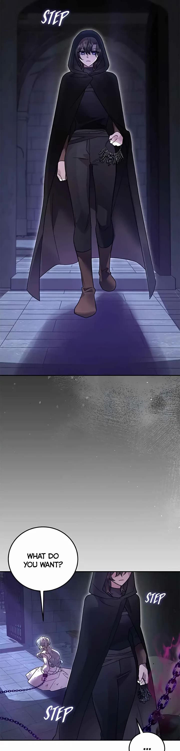 The Hero, the Demon, and the Villain Chapter 111 page 8 - Chapter 111: Offer a Darkness