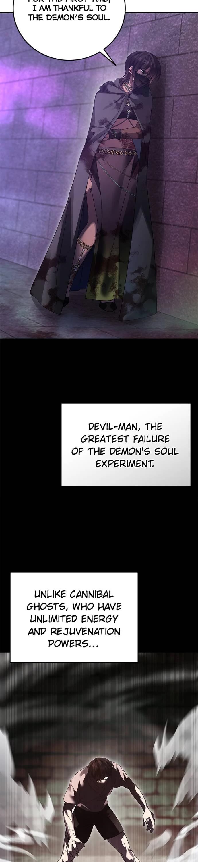 The Hero, the Demon, and the Villain Chapter 117 page 33 - Chapter 117