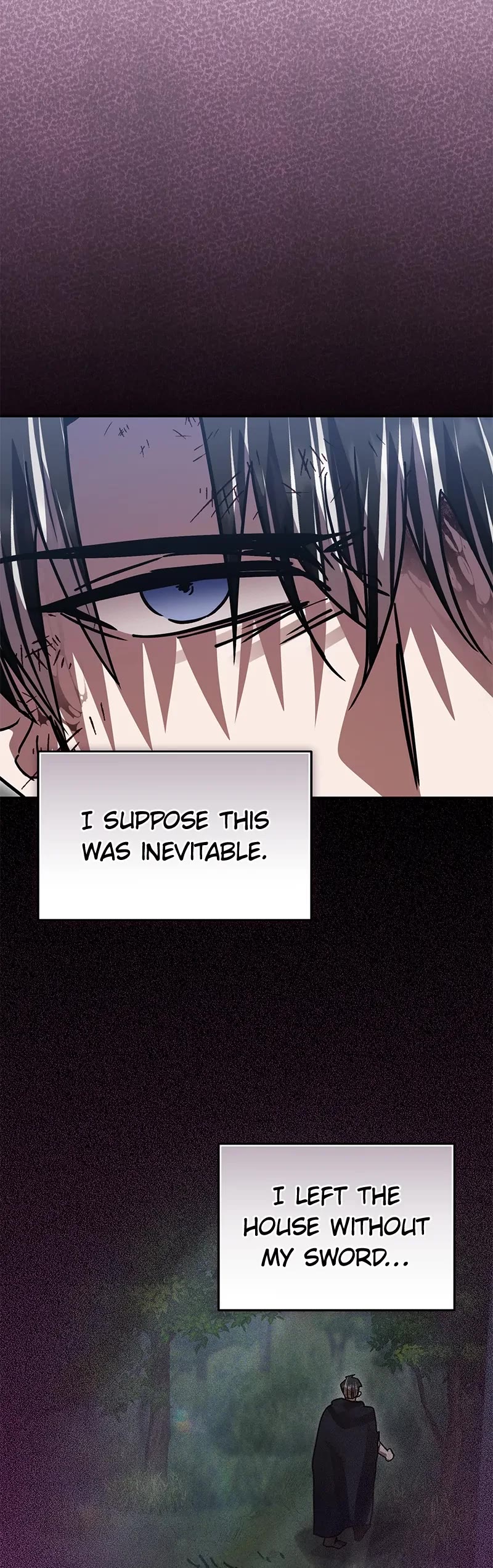 The Hero, the Demon, and the Villain Chapter 67 page 14 - Chapter 67
