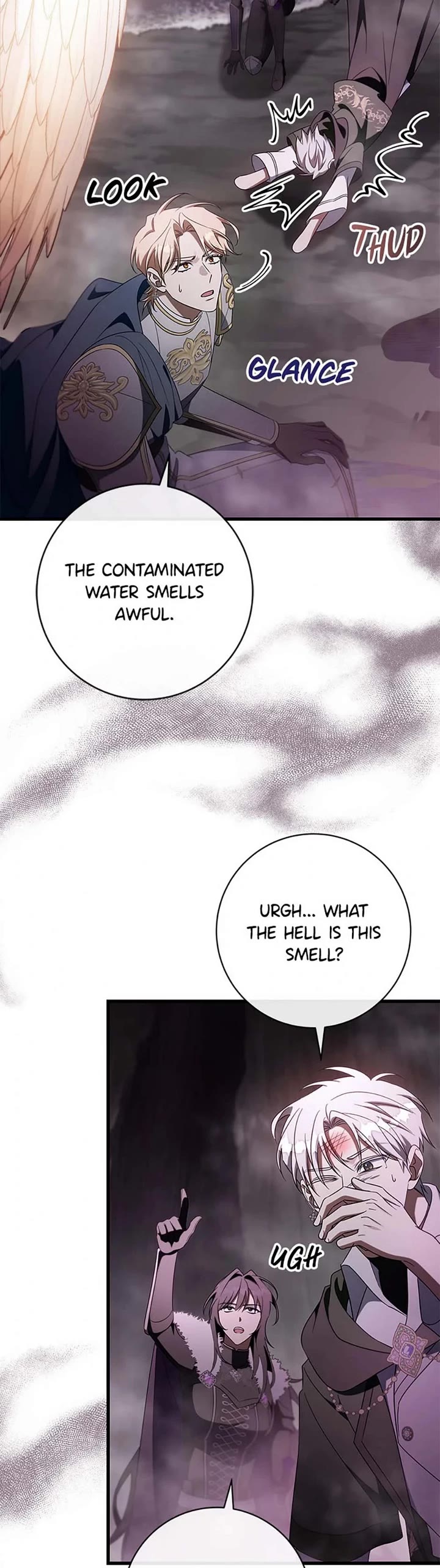 The Hero's Savior Chapter 104 page 15 - Chapter 104