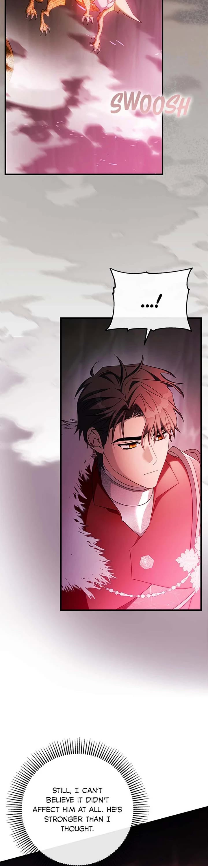The Hero's Savior Chapter 107 page 17 - Chapter 107