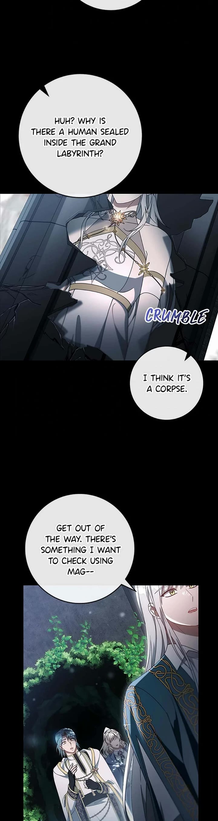 The Hero's Savior Chapter 118 page 40 - Chapter 118