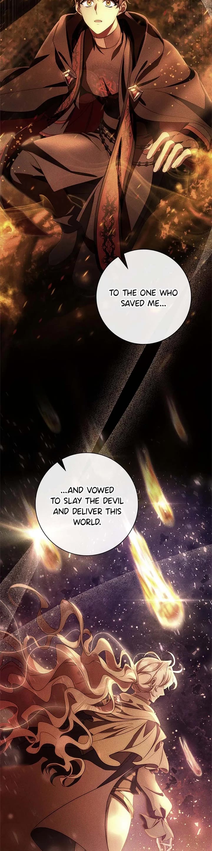 The Hero's Savior Chapter 155 page 5 - Chapter 155