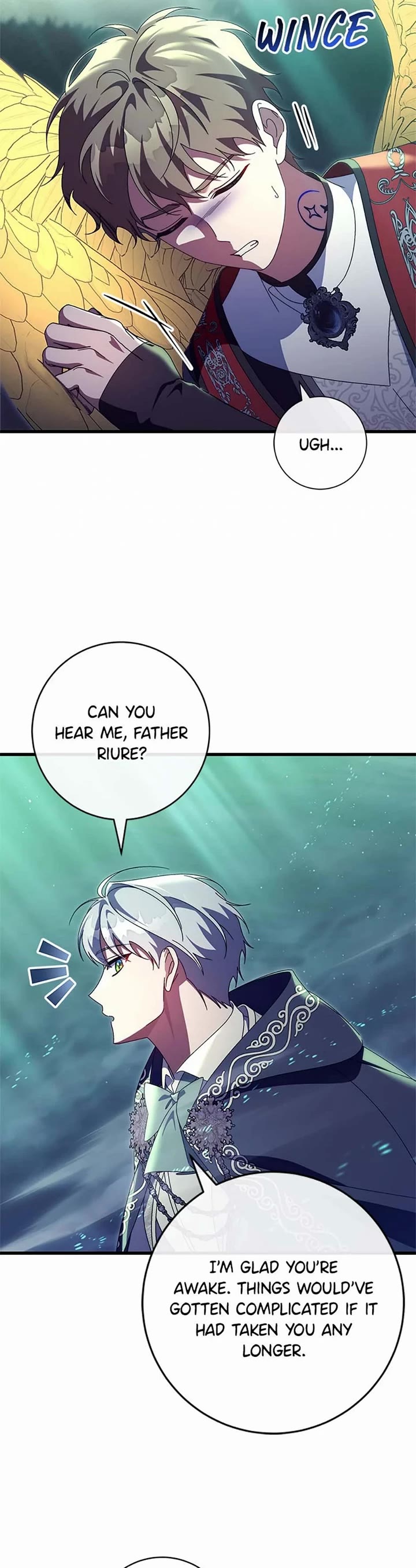 The Hero's Savior Chapter 159 page 14 - Chapter 159