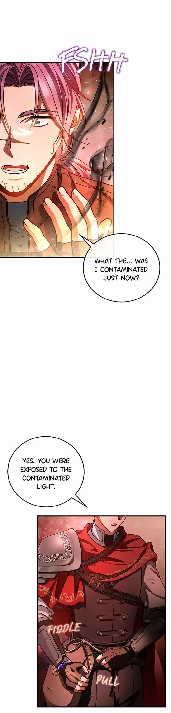 The Hero's Savior Chapter 33 page 21 - Chapter 33
