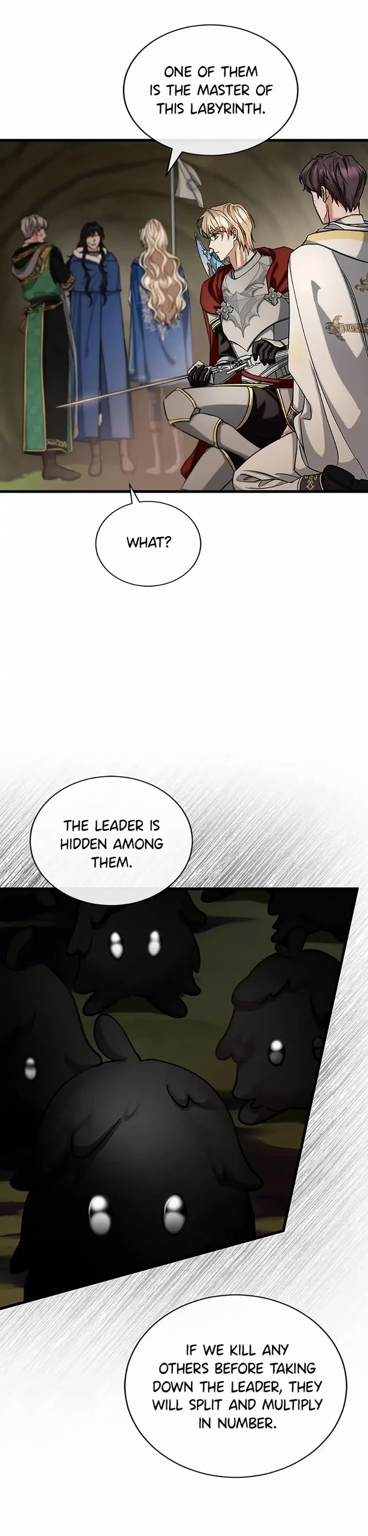 The Hero's Savior Chapter 51 page 11 - Chapter 51