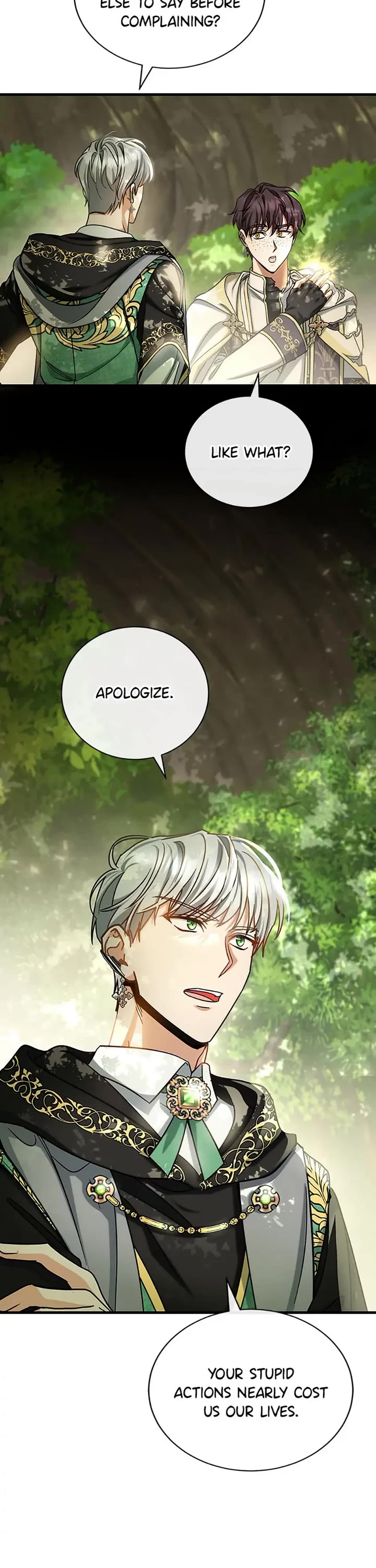 The Hero's Savior Chapter 52 page 17 - Chapter 52