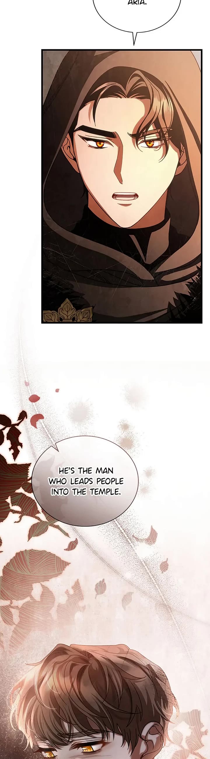 The Hero's Savior Chapter 62 page 25 - Chapter 62