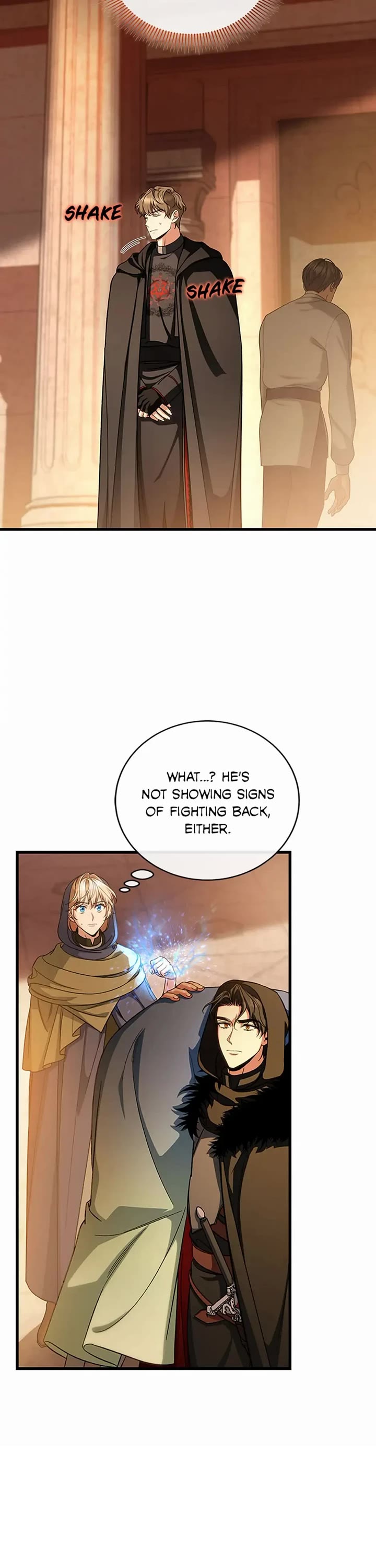 The Hero's Savior Chapter 62 page 36 - Chapter 62