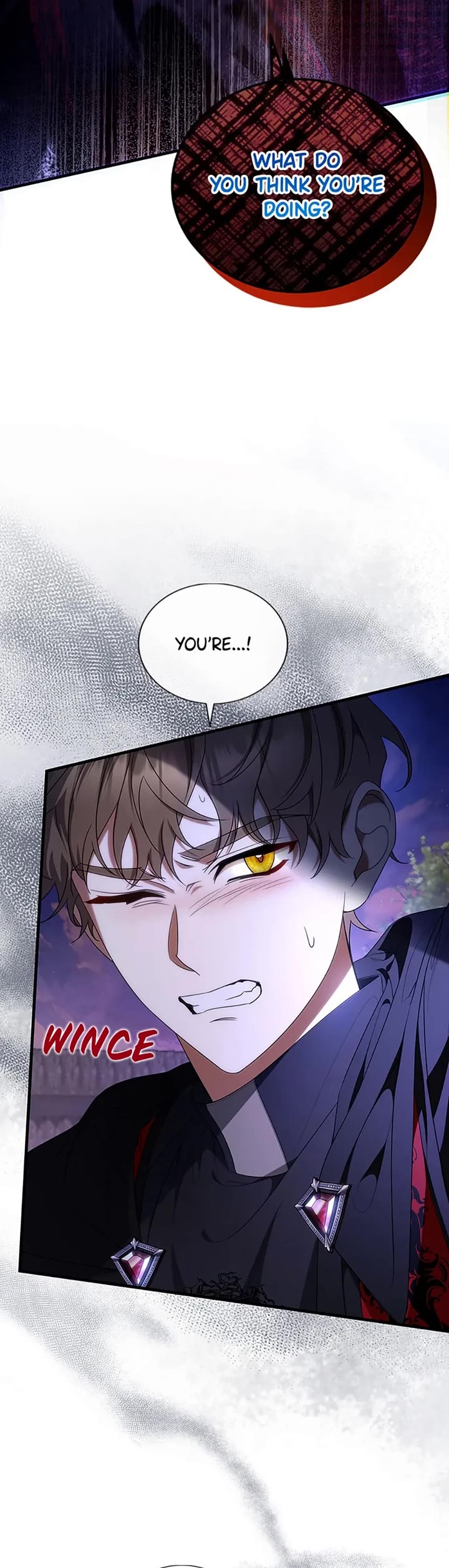 The Hero's Savior Chapter 69 page 14 - Chapter 69